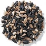 Bird Seed - Image 2