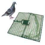 Bird trap